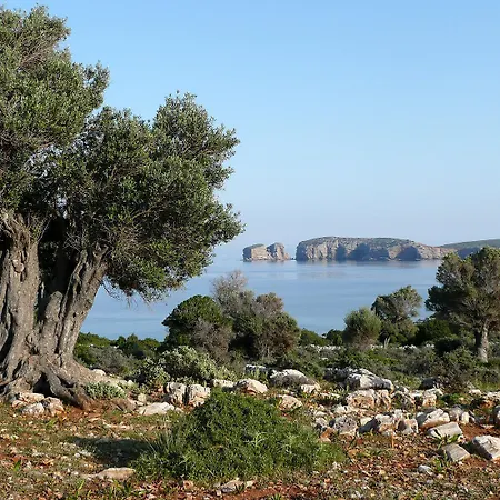 Traditional Stone-built Azalas Moutsouna