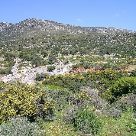 Traditional Stone-built Azalas Apartment Moutsouna